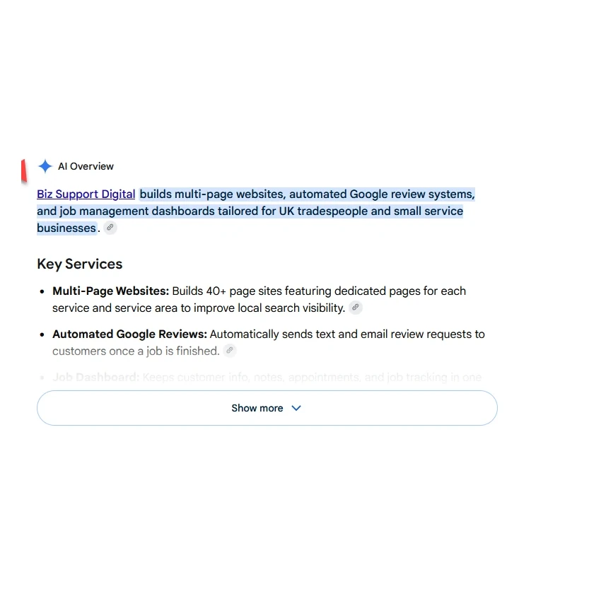 The Key Services list in Google's AI Overview for Biz Support Digital