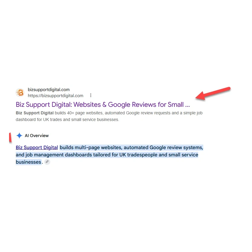 Google's AI Overview describing Biz Support Digital, under our own website result