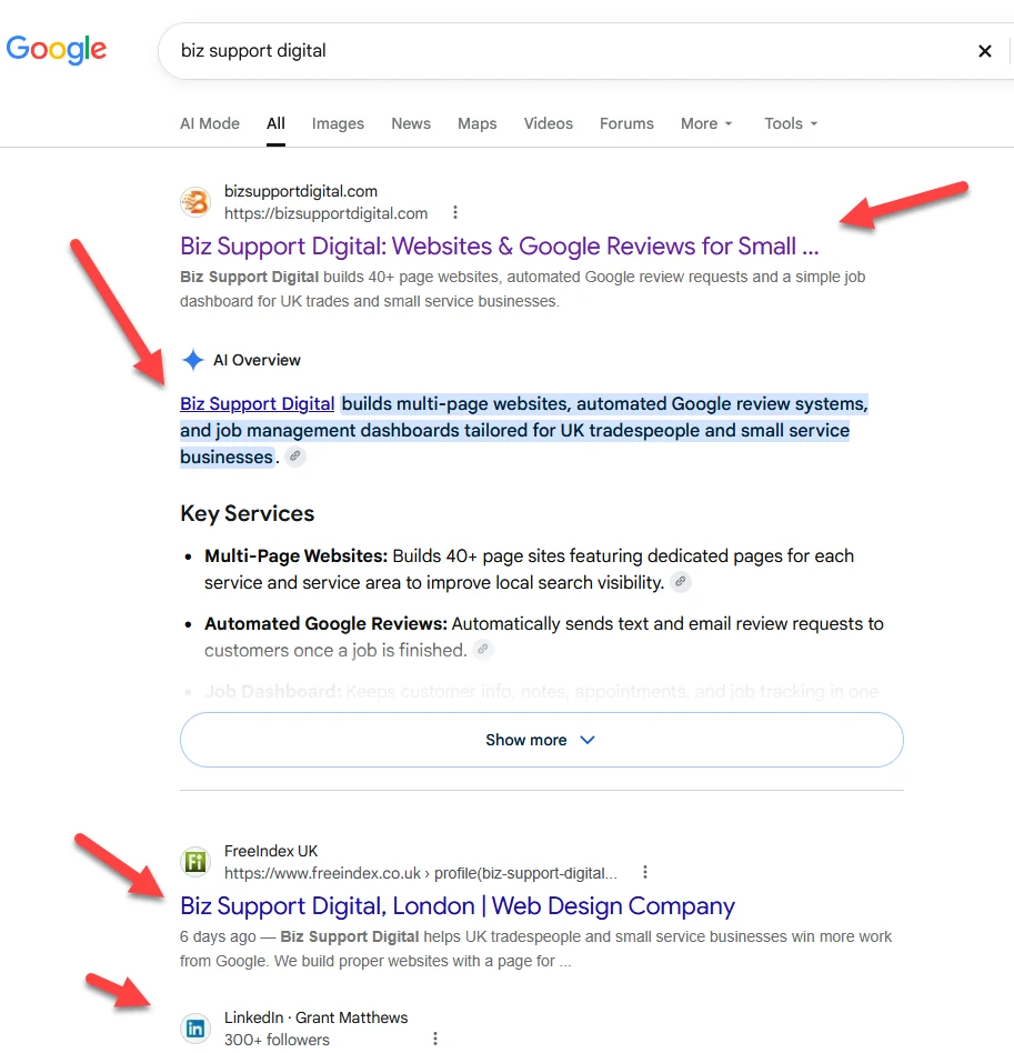 Google results for biz support digital: our website, the AI Overview, FreeIndex and LinkedIn