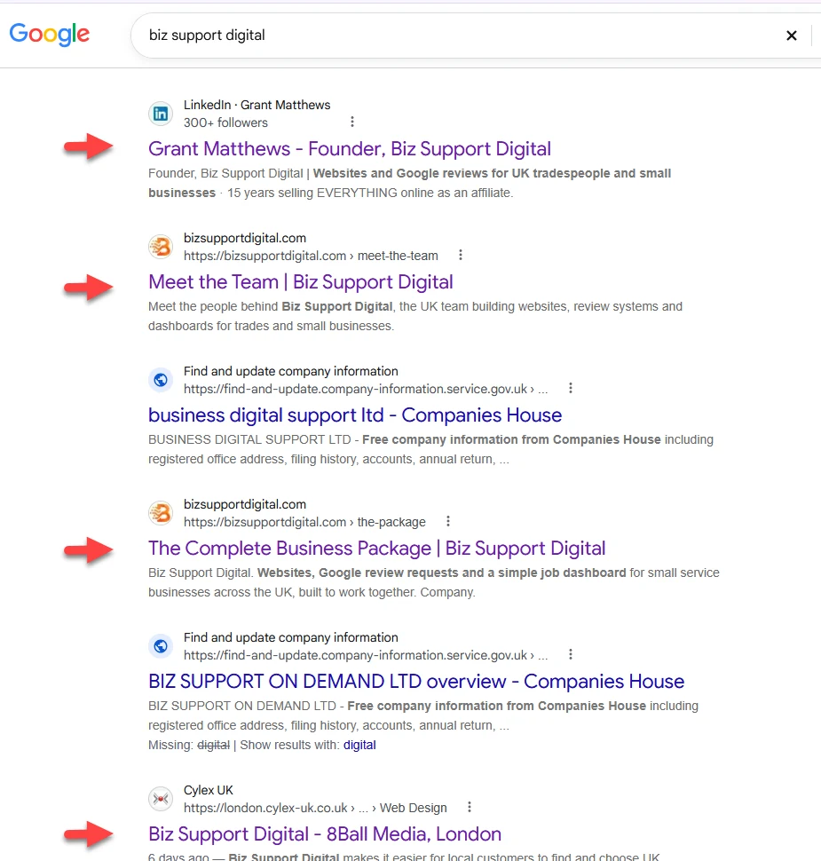 Google results for biz support digital: LinkedIn, Meet the Team, The Complete Business Package and Cylex